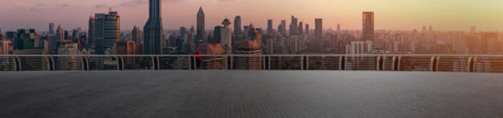 ROOF PLUS