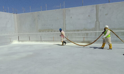 ROOF PLUS
