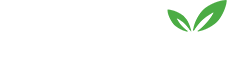 ROOF PLUS